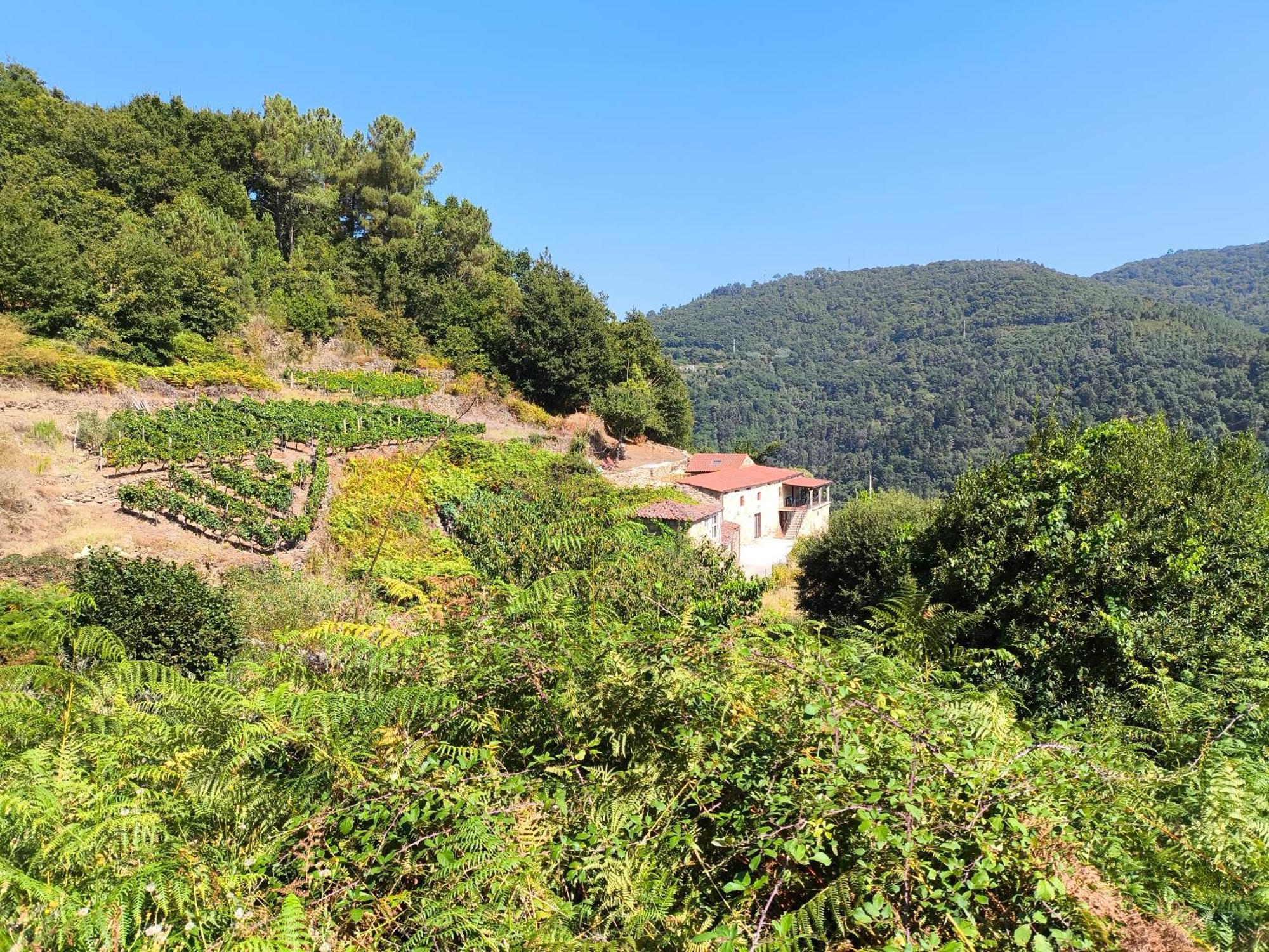 Xiravai-Ribeira Sacra Villa Peares Eksteriør bilde