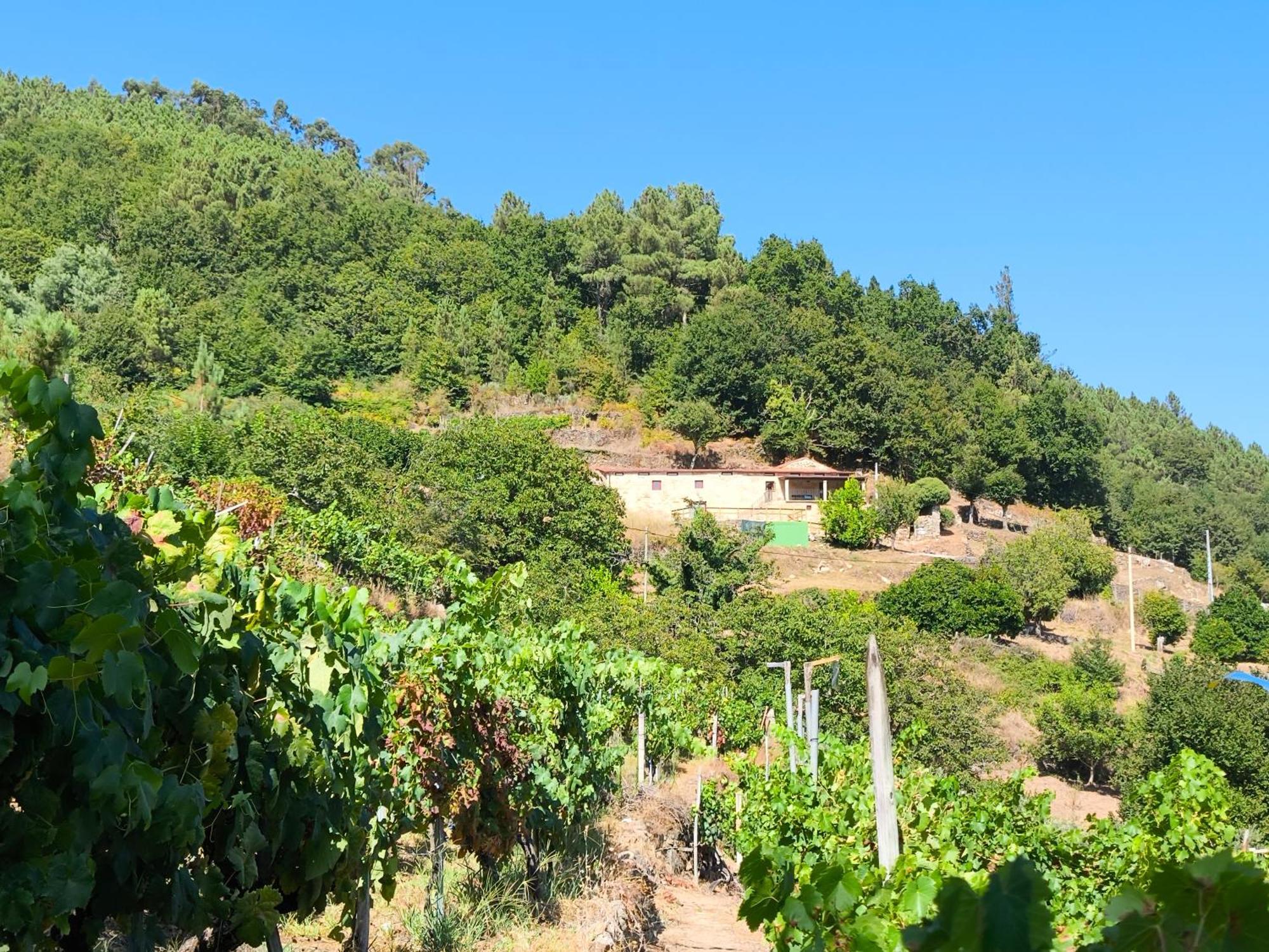 Xiravai-Ribeira Sacra Villa Peares Eksteriør bilde